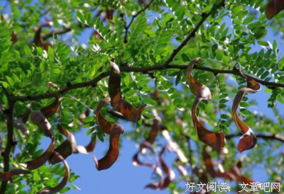 说里么她些年好词好句
