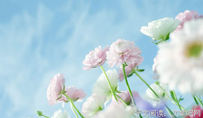 婳——枼潋竹逸优美的句子