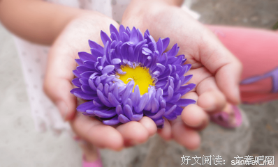 我爱，爱心之所爱的句子