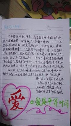 小豆豆动物剧场读后感精选