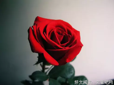离婚暴富的凤凰男，崩溃了