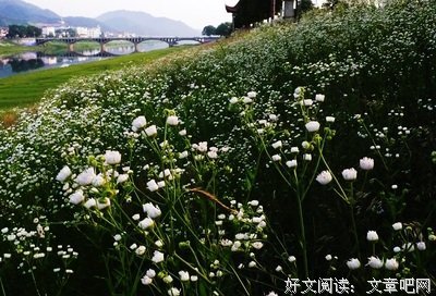 《星》的句子