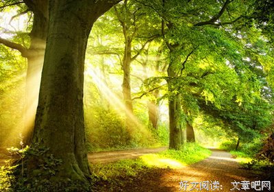 美好经典名句