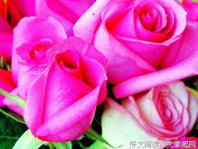关于蚀骨的优美句子