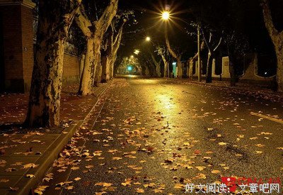 来随风名言大全