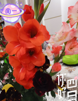 最新的《俗语》经典句子