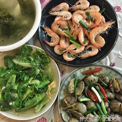 假惺惺的小文青句子大全