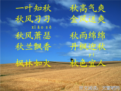一叶知秋句子大全