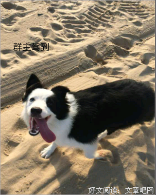 淡淡憂傷经典名句