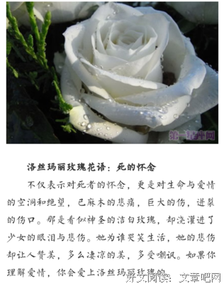 《好文》的句子