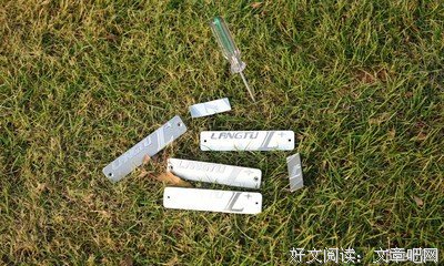 《信心磐石》课程01 真理必叫你们得以自由