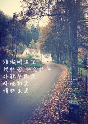 关于鹿畔回眸，转发还后眼对而涯的优美句子