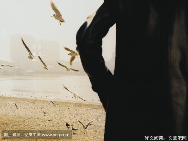 寂寞沙冷的句子