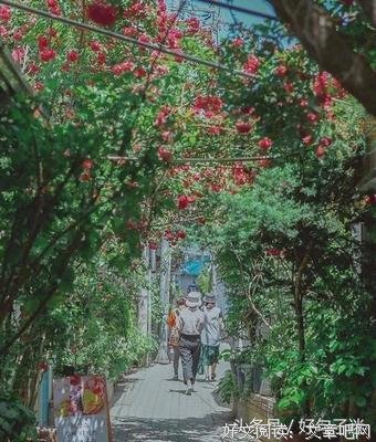 最经典的杨志锋的名言