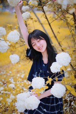 花语集
