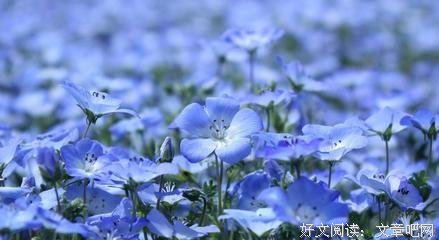 汤邪起灵句子