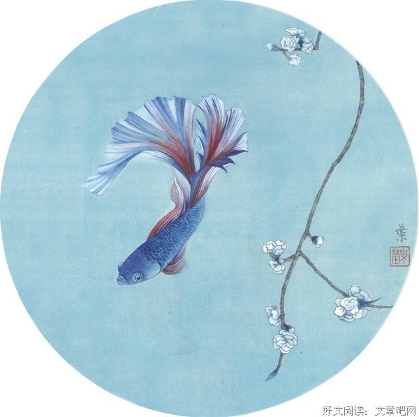《镜花水月 第二季》影评精选