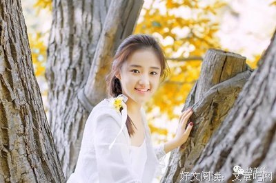 叔本华的优美句子