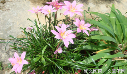 在变老的路上，要让生活变得更好