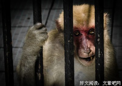 为你的句子