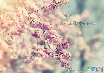 励志优美的句子
