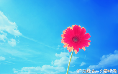 关于心灵鸡汤的句子
