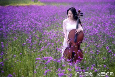执念的优美句子