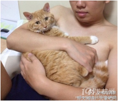 喜欢到了几分才能叫爱？