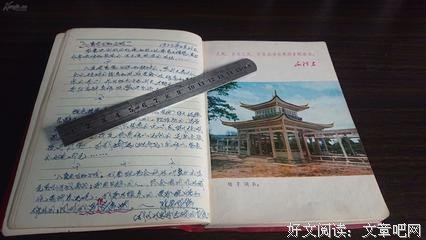 最经典的桔子树名言大全