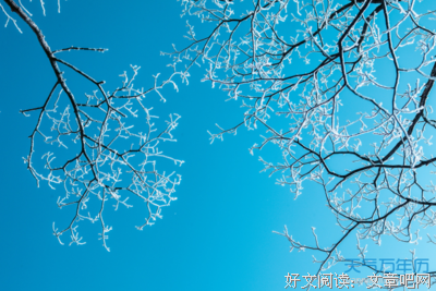 QQ说说句子