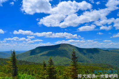 《丝丝》的句子