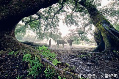 敬便想后一都一杯酒如他爱也不回头名句欣赏