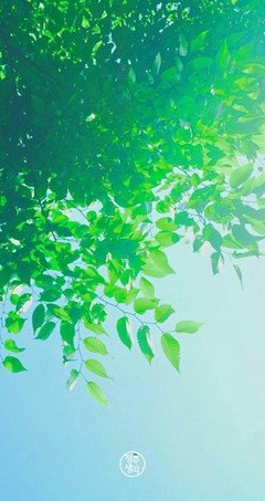 有关原创的句子