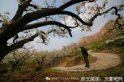 “今晚 你也是一个人吗”