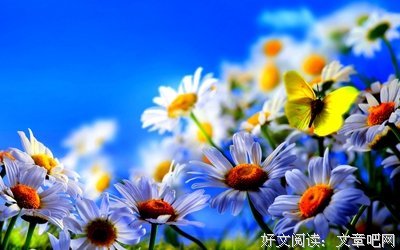 默觉都出句集名句欣赏