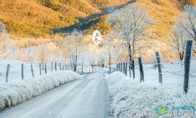 情深莫负优美的句子