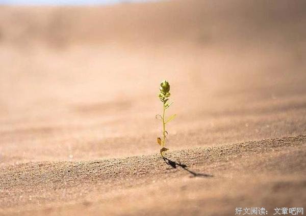 遇事不惊急，才能事有所成 