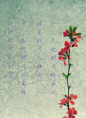 彼时心句子