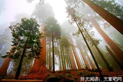 博弈与心得名句欣赏
