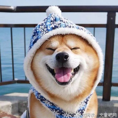 执念名句欣赏