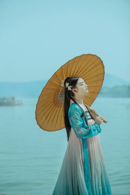 梅香影疏经典名句