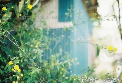 《低头人生》观后感摘抄