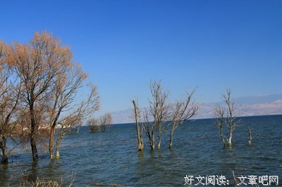十份清单 | 耍了一整年，你也有尽兴吗？