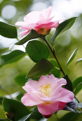 生学着内感悟句子
