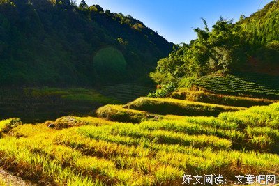 2019步非烟名言大全