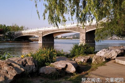 鸢尾花 