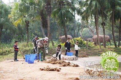 《爸爸去哪儿 第六季》的影评大全