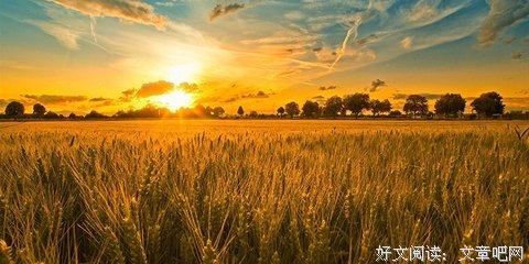 心灵美语