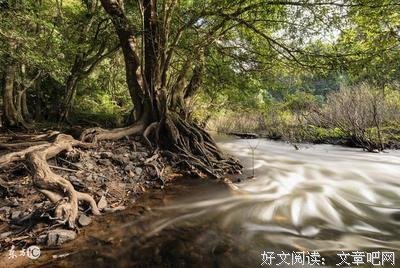 小带后气这年家相忘名句欣赏