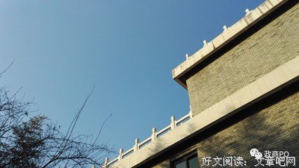 2019年就快过去了，我开始有点怀念它